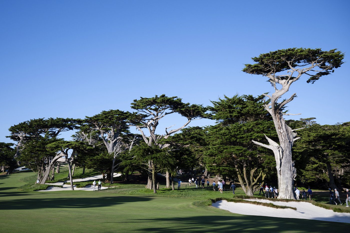 Tale of two cups: Ryder Cup has Seve and Europe, and Walker Cup has only American dominance | iNFOnews.ca