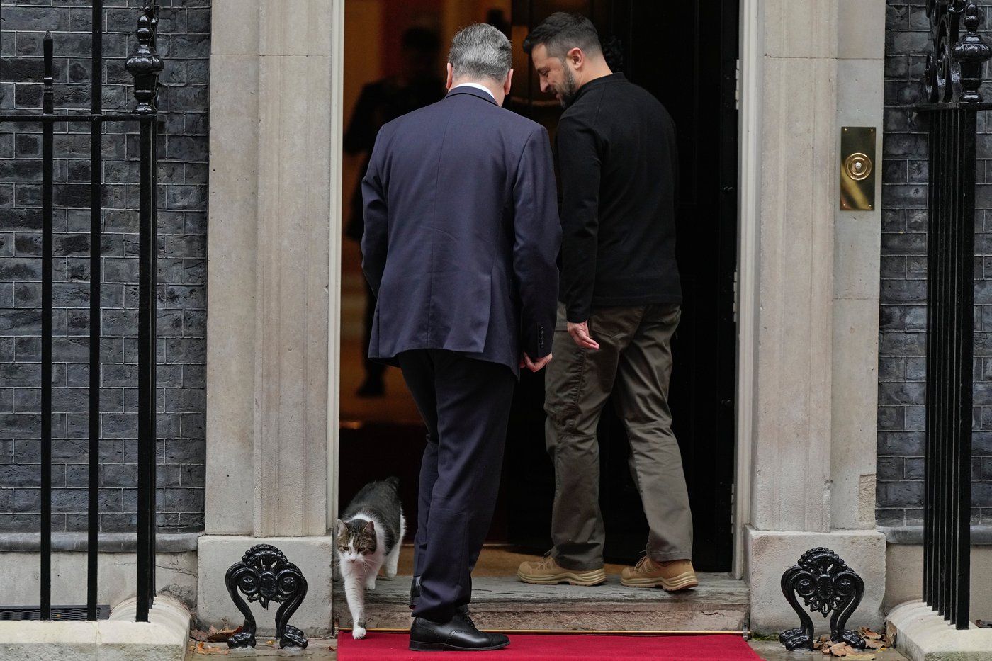 Larry the cat, Britain's Chief Mouser at 10 Downing Street for 15 years, in photos | iNFOnews.ca