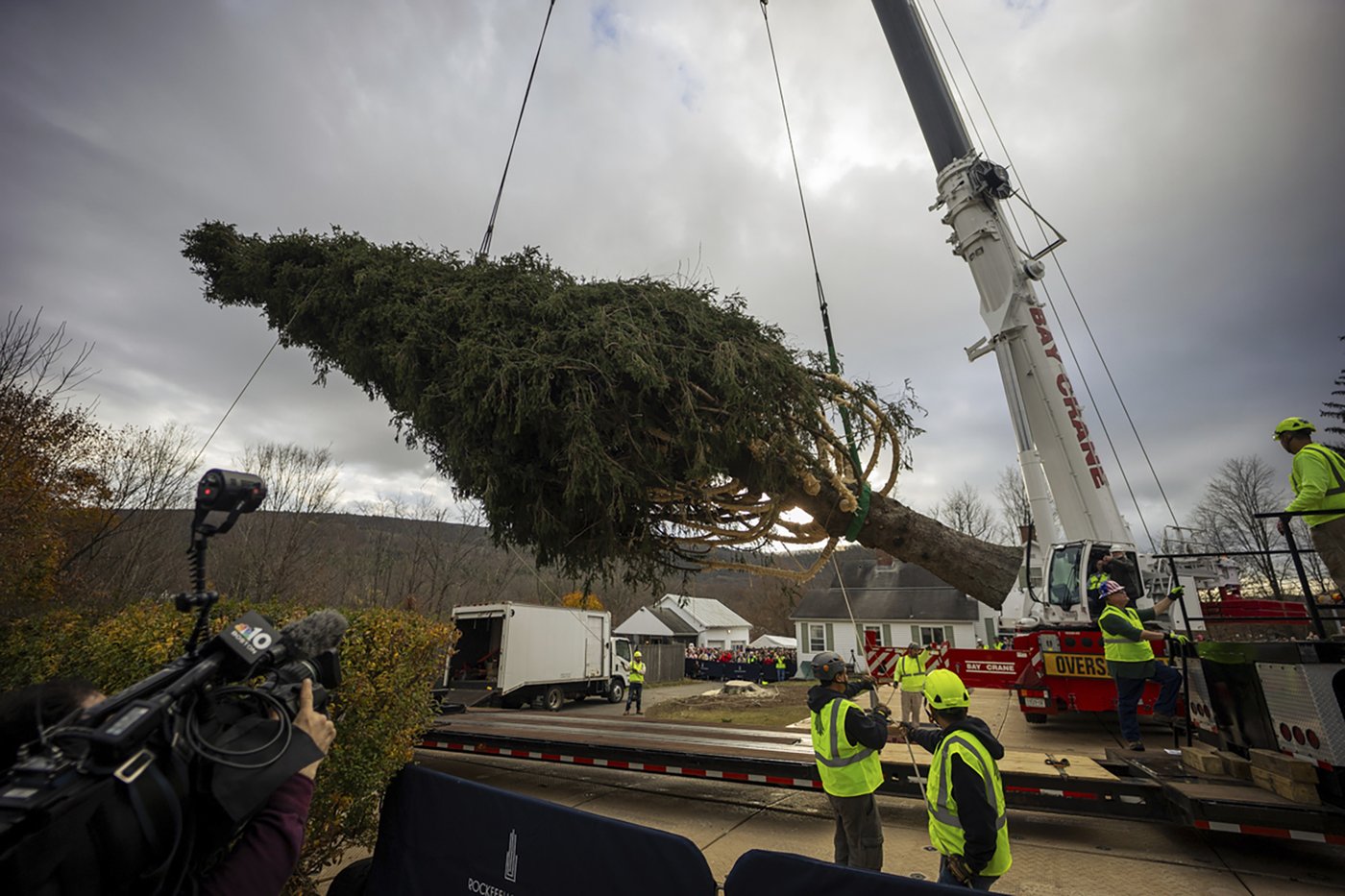 A green giant: This year's 74-foot Rockefeller Center Christmas tree is en route from Massachusetts | iNFOnews.ca