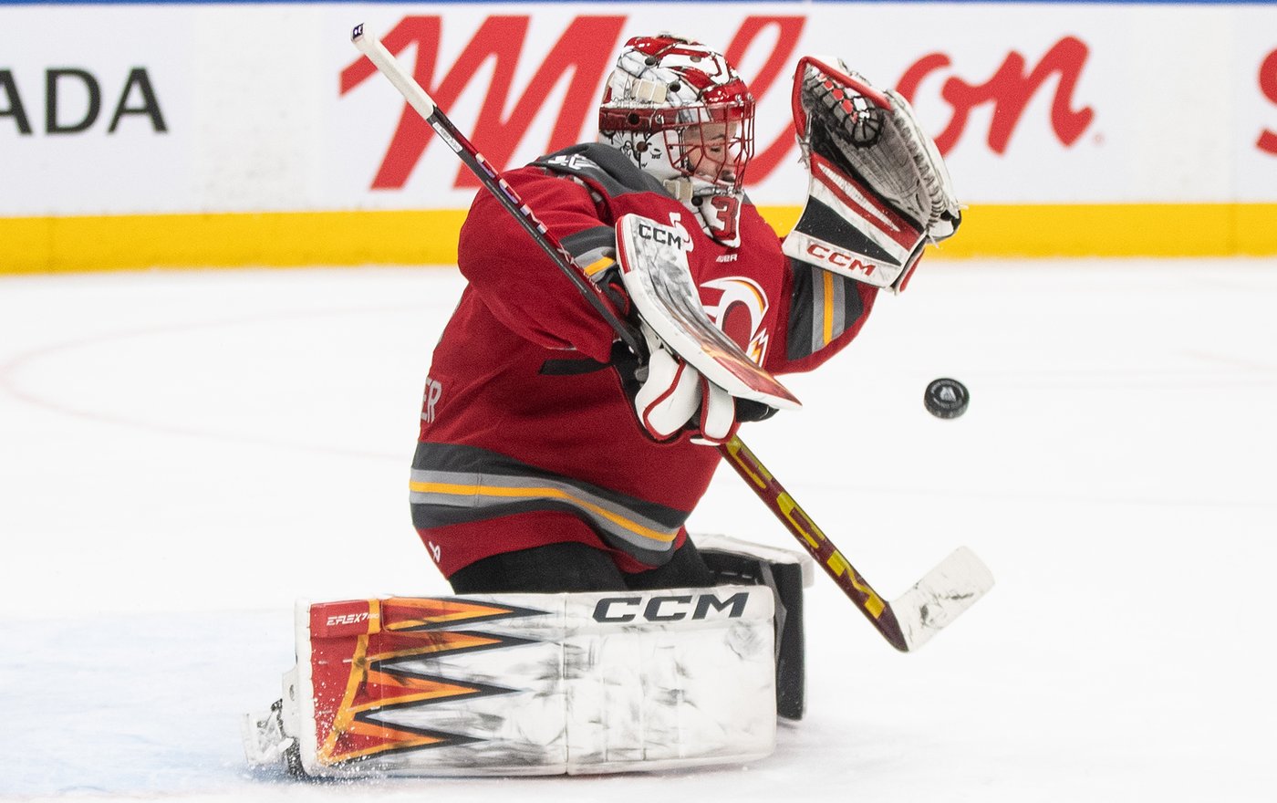 PWHL Vancouver adds goaltender Maschmeyer, forward Nurse | iNFOnews.ca PWHL Vancouver adds goaltender Maschmeyer, forward Nurse | iNFOnews.ca