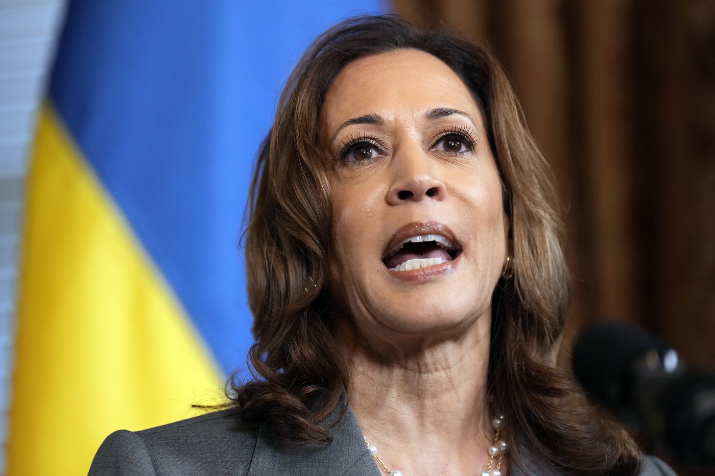 Harris heads to the US-Mexico border to face down criticism of her record | iNFOnews.ca