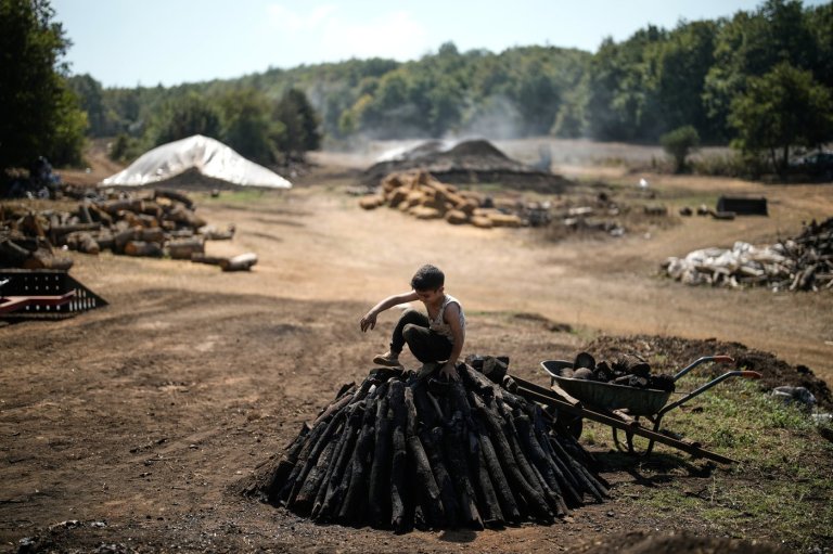 Father and sons keep a traditional charcoal craft alive, in photos | iNFOnews.ca