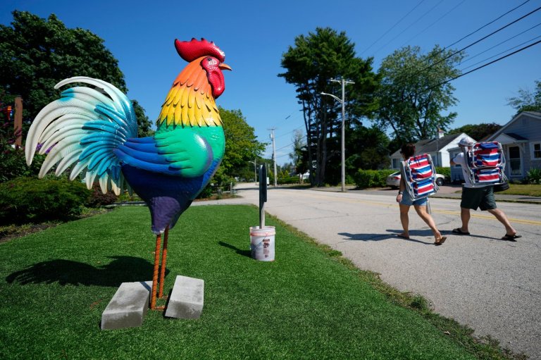 Giant metal roosters spread autism acceptance in Maine after town zoning spat | iNFOnews.ca