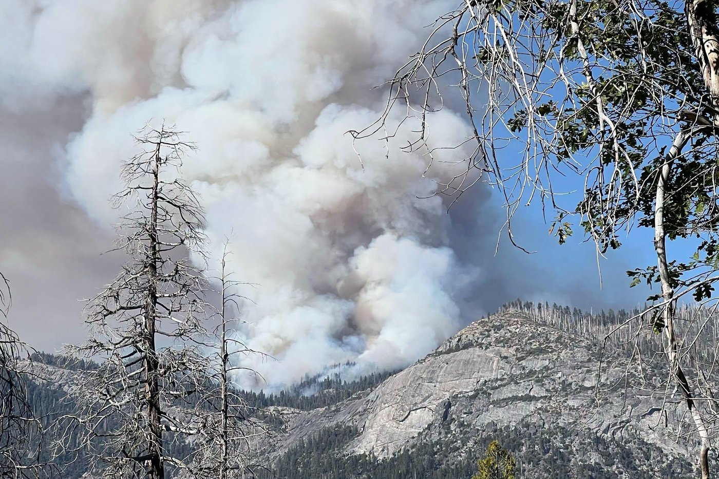 Firefighting helicopter crashes near Yosemite, killing both pilots | iNFOnews.ca