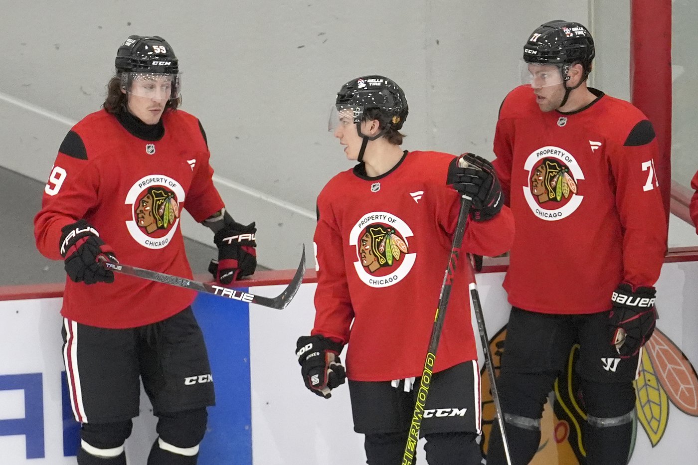 Tyler Bertuzzi looking to help the Chicago Blackhawks emerge from their rebuild | iNFOnews.ca