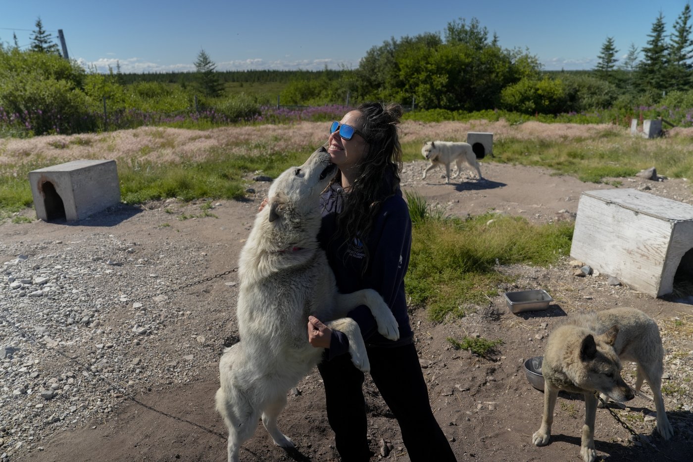 In the polar bear capital of the world, a community lives with the predator next door and loves it | iNFOnews.ca In the polar bear capital of the world, a community lives with the predator next door and loves it | iNFOnews.ca