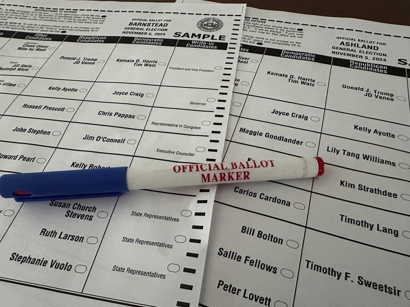 New Hampshire will decide incumbent's fate in 1 US House district and fill an open seat in the other | iNFOnews.ca