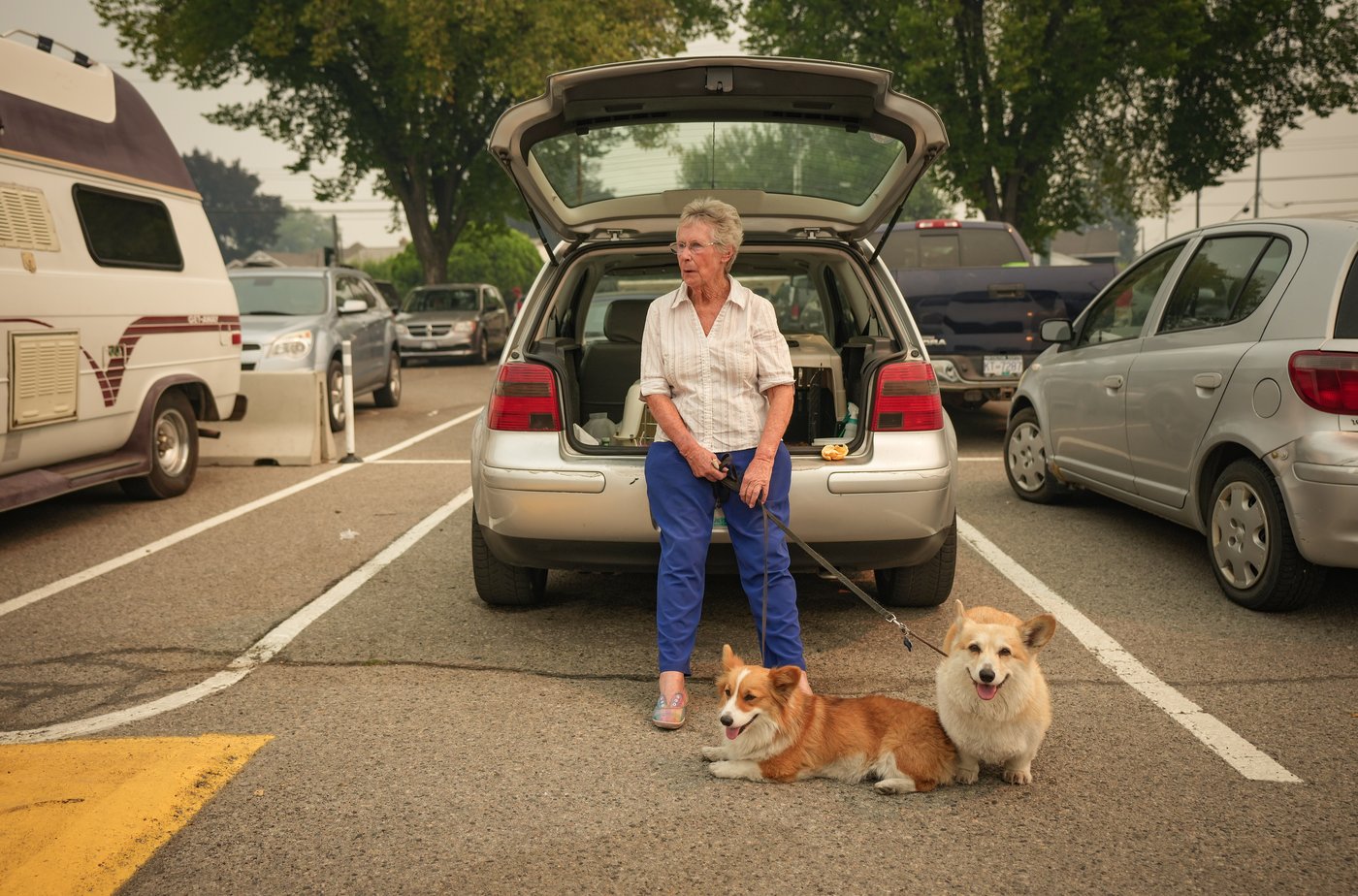 From goats to porcupines, these animal evacuees escaped B.C. wildfire | iNFOnews.ca From goats to porcupines, these animal evacuees escaped B.C. wildfire | iNFOnews.ca