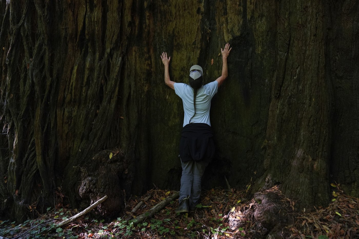 California's Yurok Tribe gets back ancestral lands that were taken over 120 years ago | iNFOnews.ca California's Yurok Tribe gets back ancestral lands that were taken over 120 years ago | iNFOnews.ca