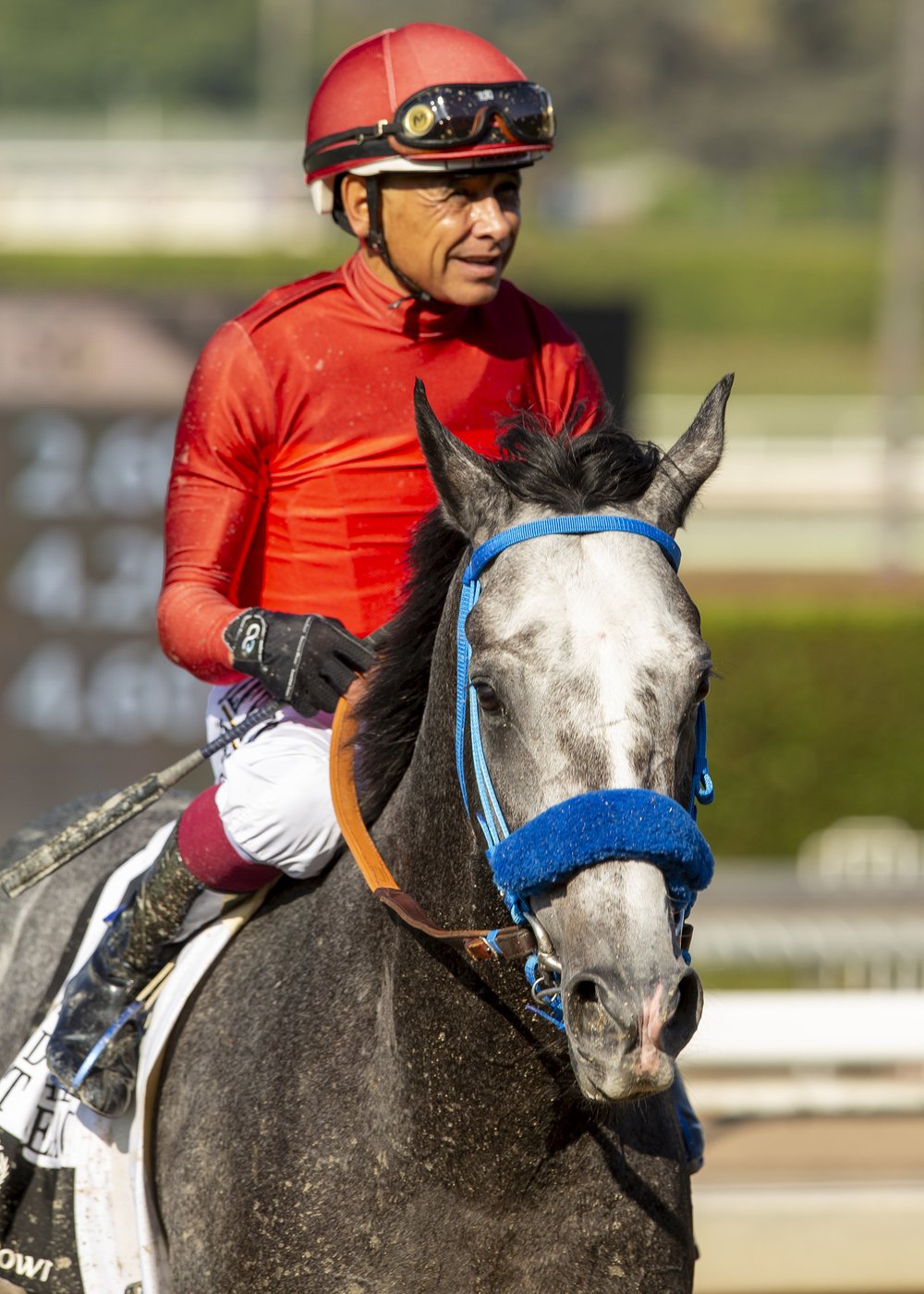 Subsanador wins $1 million California Crown over Baffert-trained duo at Santa Anita | iNFOnews.ca