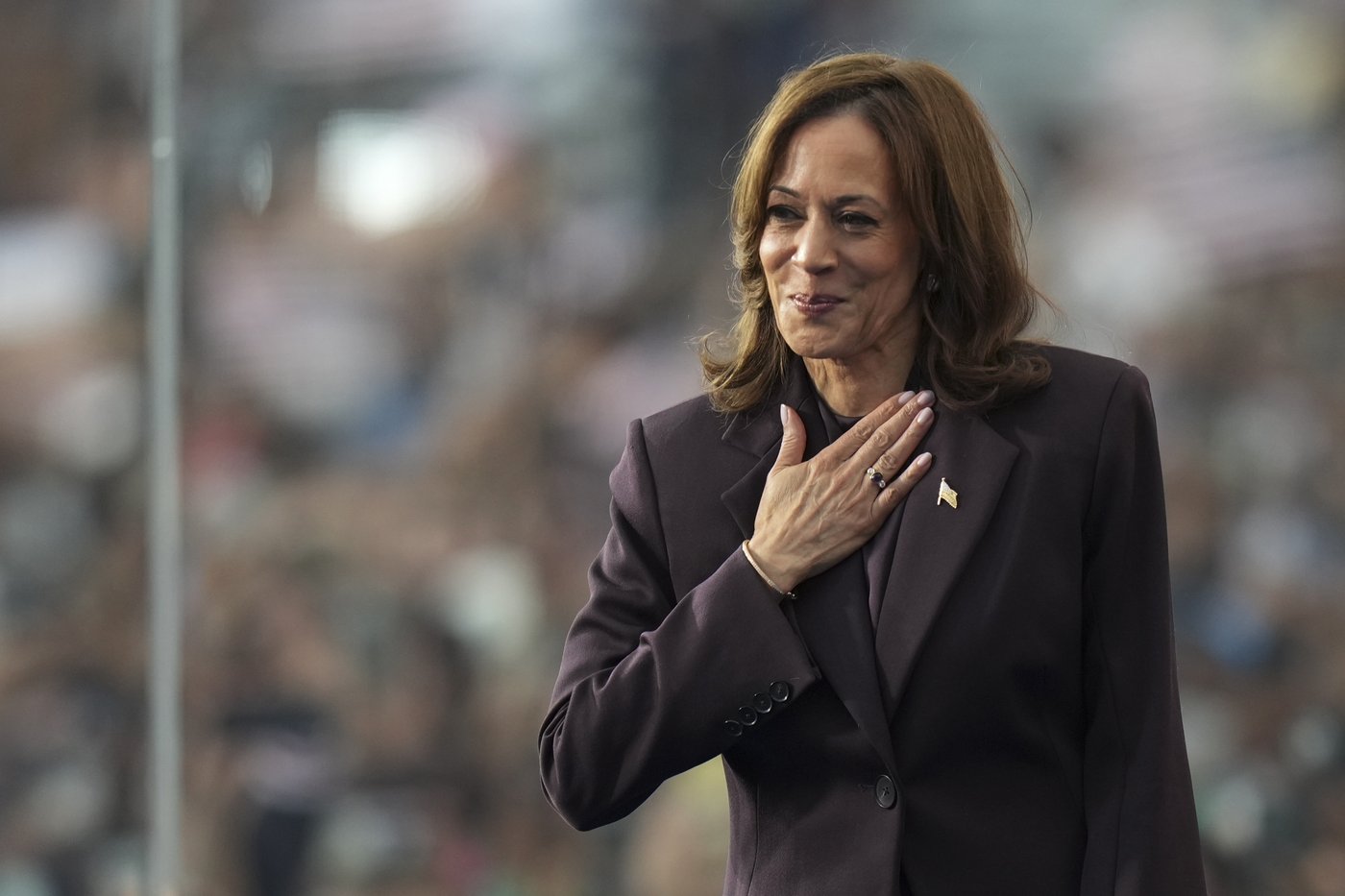Democracy was a motivating factor both Harris and Trump voters, but for very different reasons | iNFOnews.ca