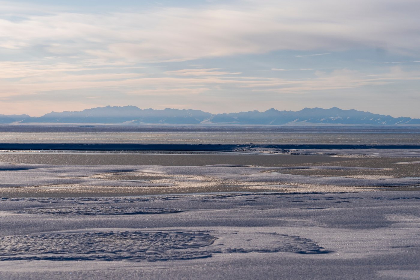 A lush knee-high jungle grows in the Arctic, but warming is changing Earth's mini-greenhouse | iNFOnews.ca