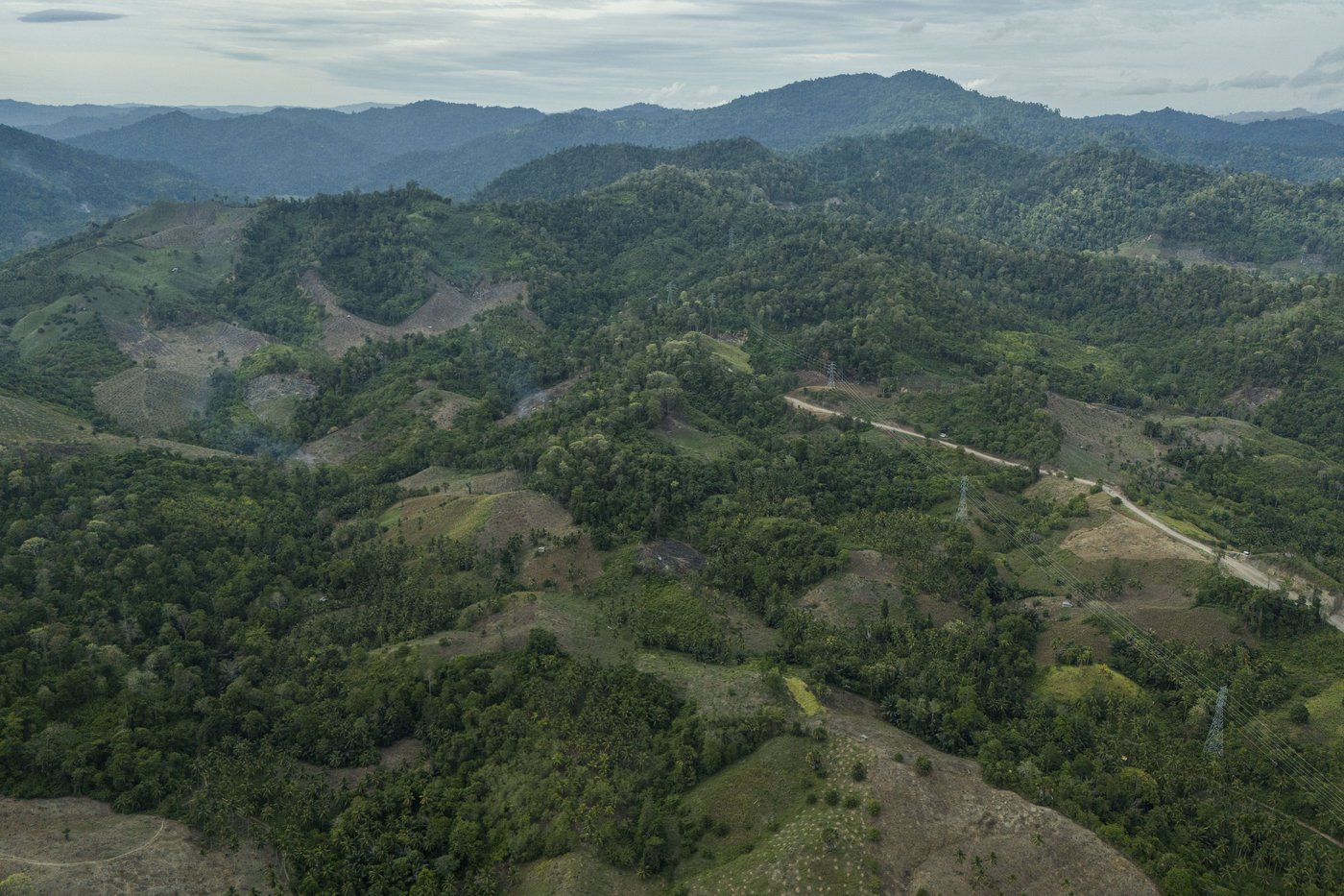 Slight progress in global biodiversity protection efforts but some species decline, new reports find | iNFOnews.ca Slight progress in global biodiversity protection efforts but some species decline, new reports find | iNFOnews.ca