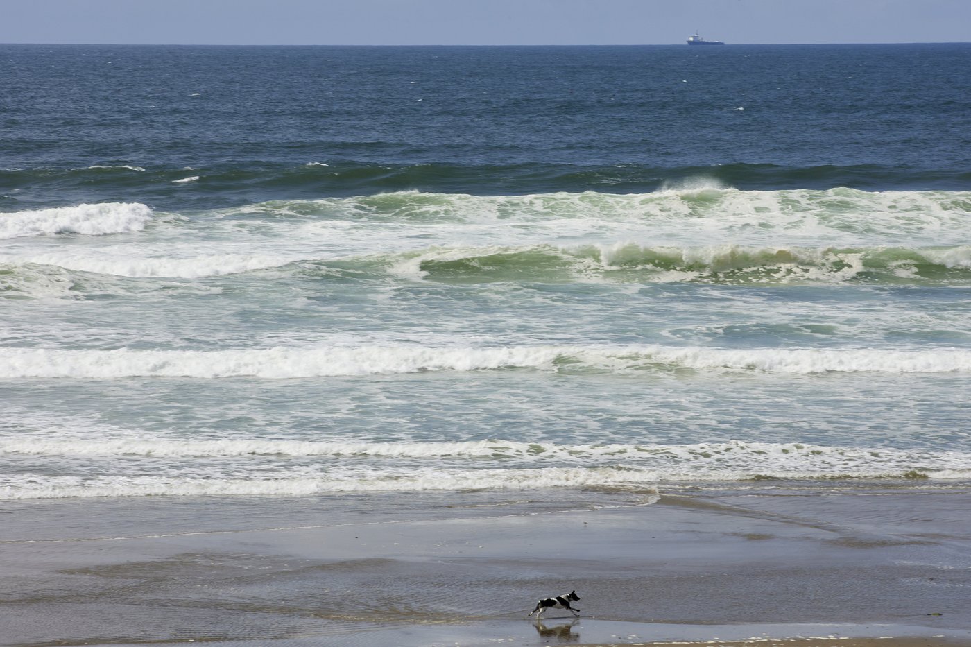 Climate solutions: 2 kinds of ocean energy inch forward off the Oregon coast | iNFOnews.ca