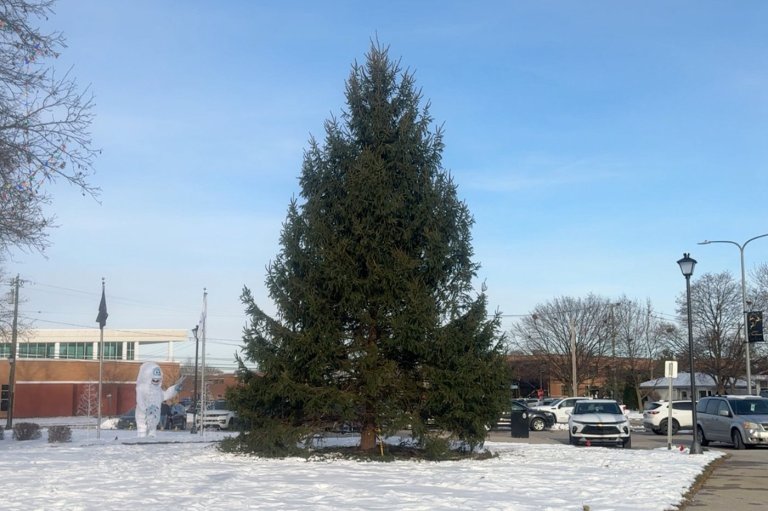 Detroit suburb finds a real Christmas tree - instead of a fake one from China - just in time | iNFOnews.ca