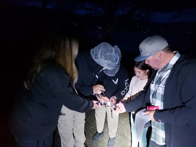 Okanagan’s annual bat count calling on citizen scientists for help | iNFOnews.ca