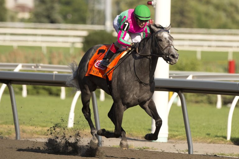 Trainer Josie Carroll optimistic Woodbine Oaks winner Luster will run in King's Plate | iNFOnews.ca