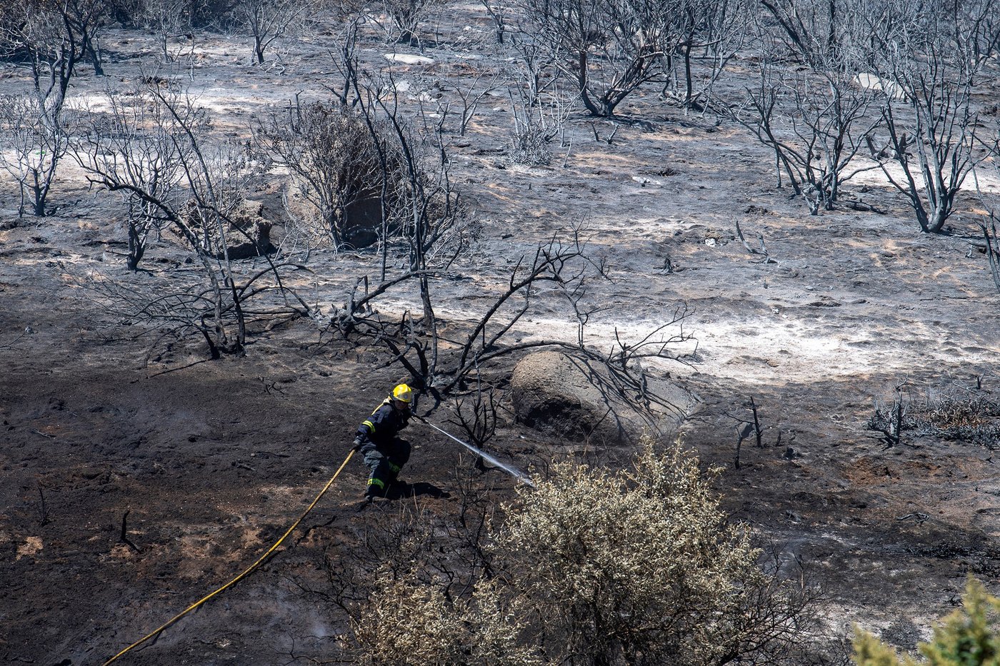 Wildfires are more extreme in Europe and North America, but global burning is oddly decreasing | iNwheels