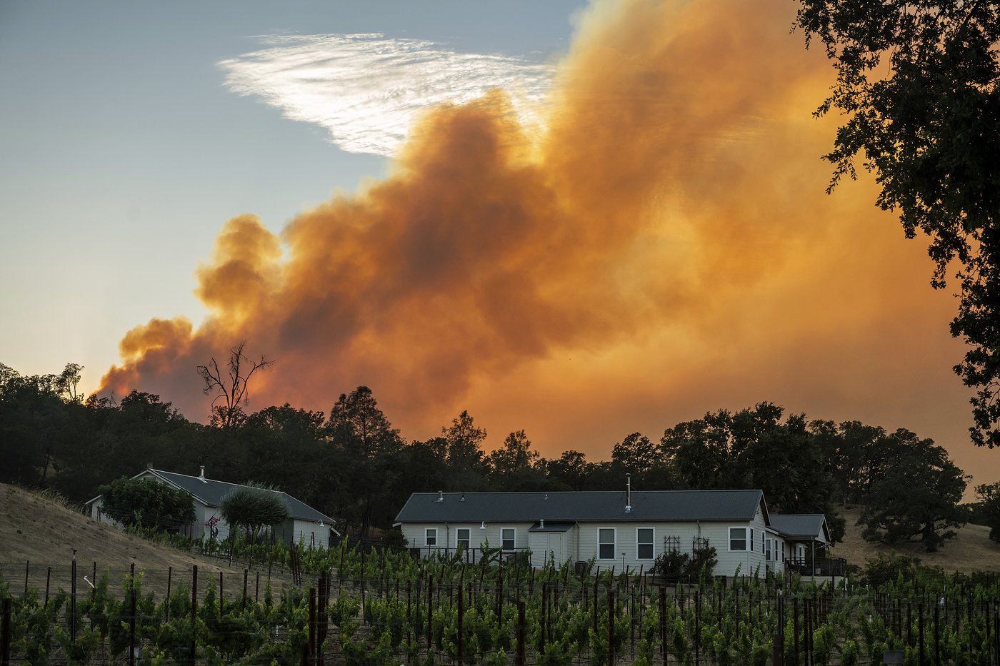 US heat wave smothers Pacific Northwest, poses extreme risk in California and Arizona | iNFOnews.ca