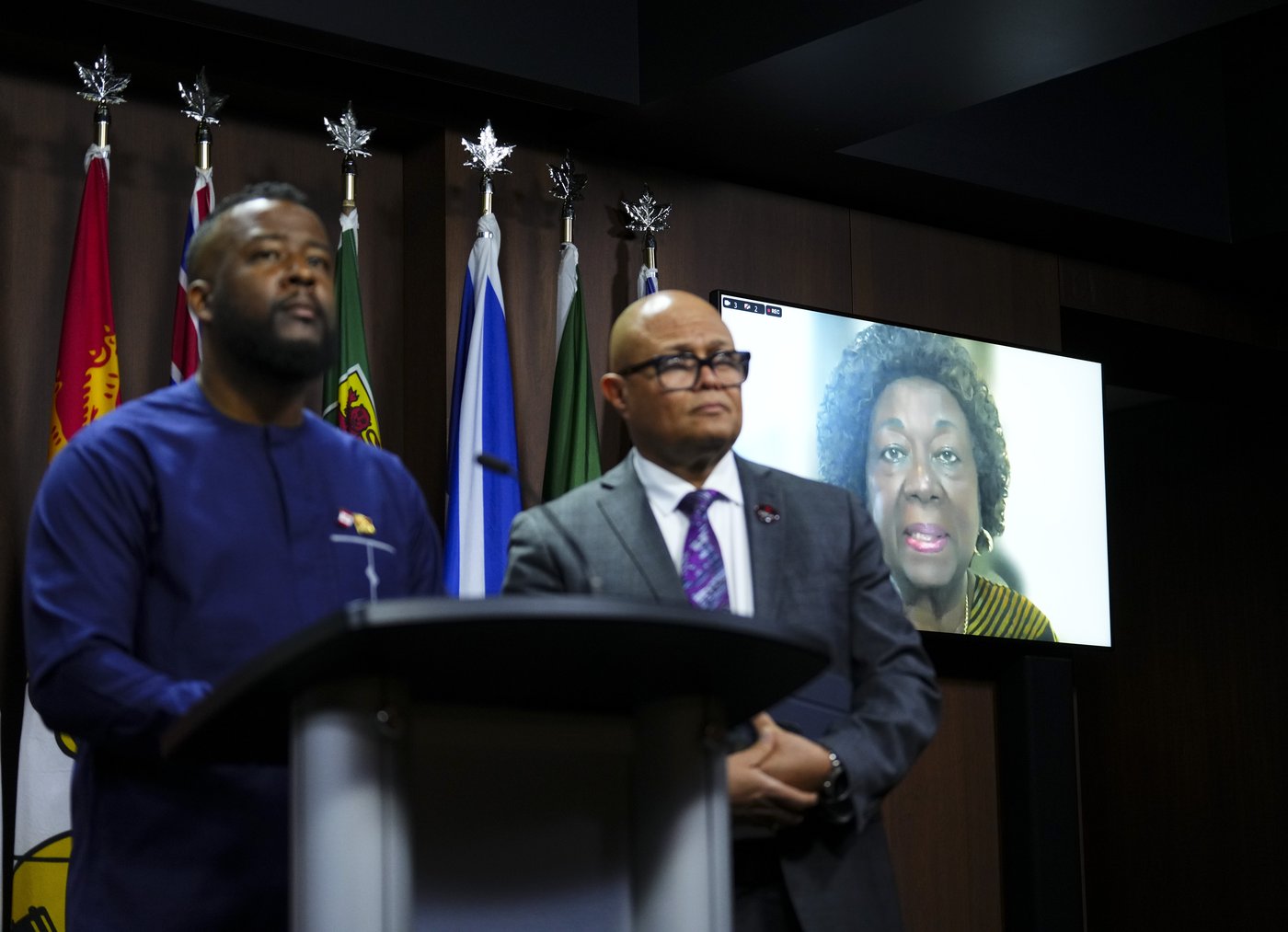Black advocates call out Carney government for excluding them from diversity council | iNFOnews.ca Black advocates call out Carney government for excluding them from diversity council | iNFOnews.ca