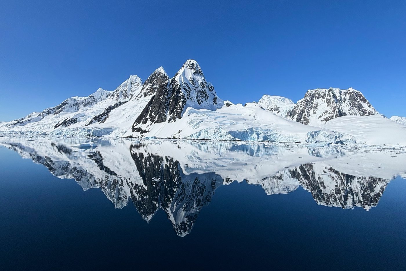 In Antarctica, photos show a remote area teeming with life amid growing risks from climate change | iNFOnews.ca
