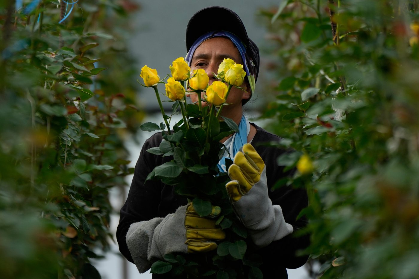 The top photos of the day by AP's photojournalists | iNFOnews.ca