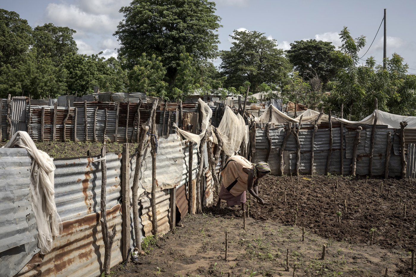 Money Gambians send home from Europe is a lifeline for their families but the sacrifices take a toll | iNFOnews.ca