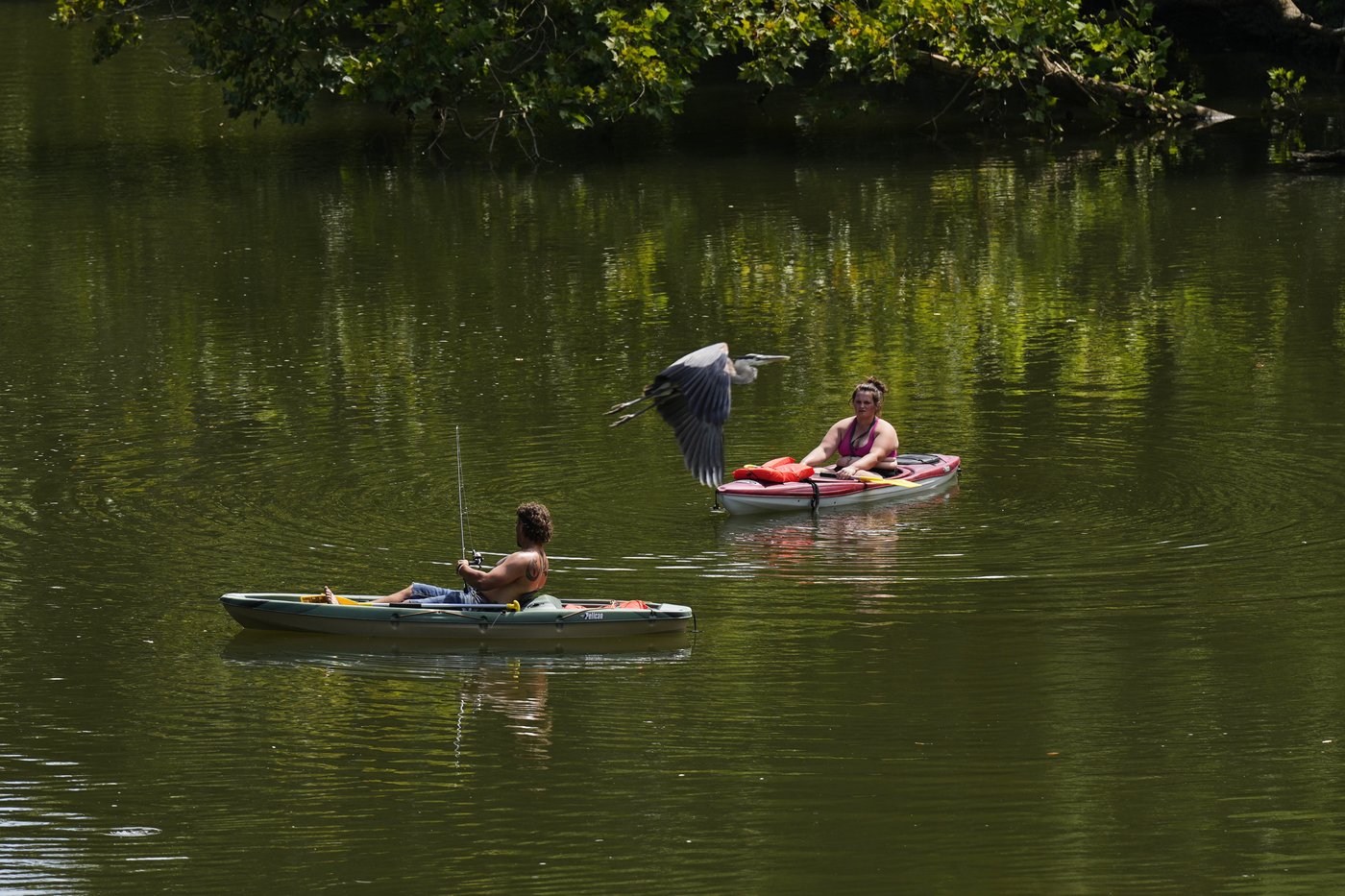Heat advisories and warnings issued for Southeast and Midwest as temperatures and humidity soars | iNFOnews.ca Heat advisories and warnings issued for Southeast and Midwest as temperatures and humidity soars | iNFOnews.ca