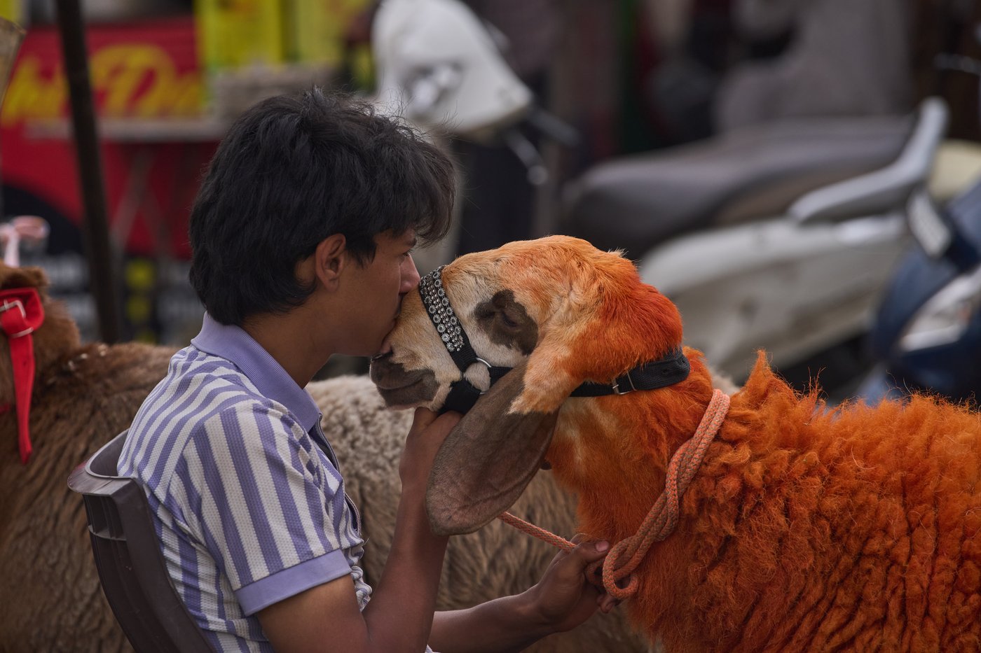 The top photos of the day by AP photojournalists | iNFOnews.ca