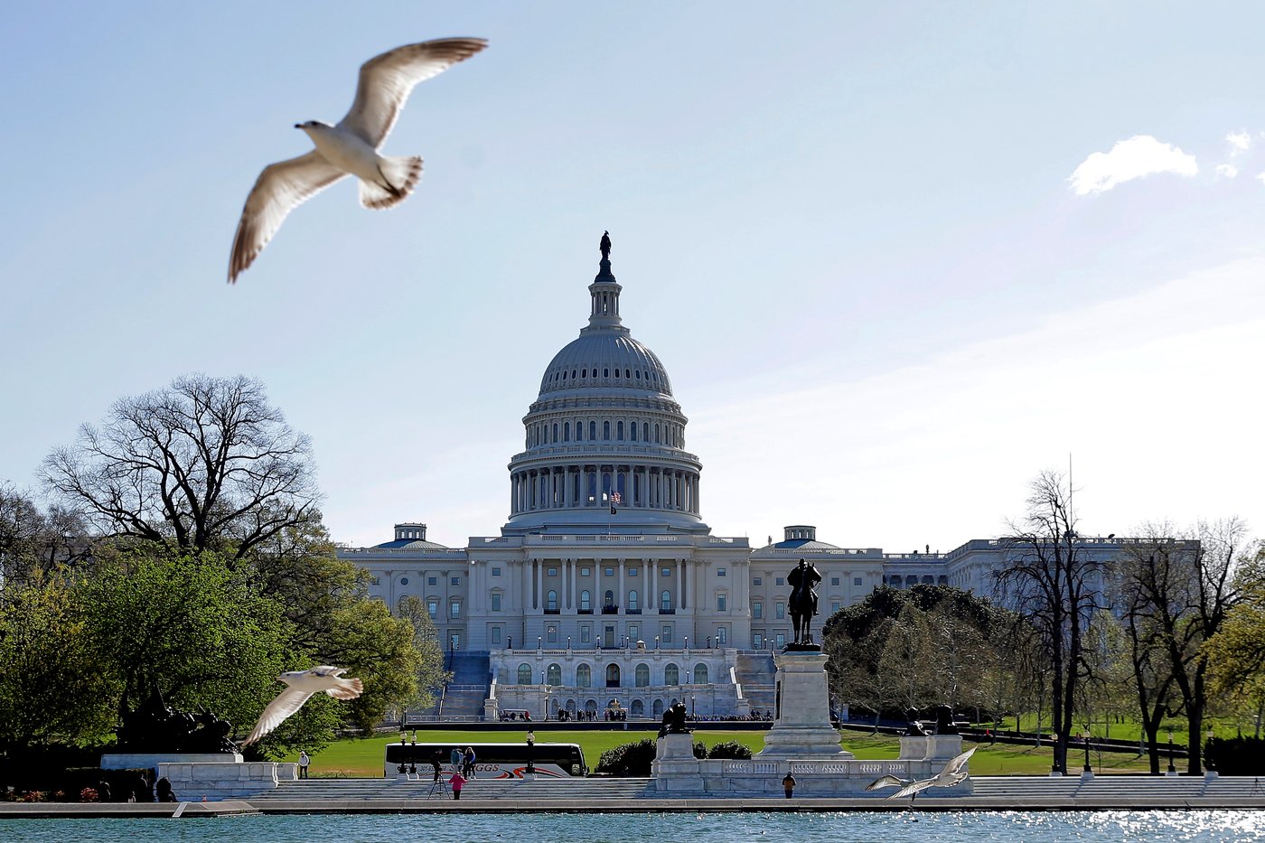 House passes a bill to protect Haitian immigrants, in slap back to the Trump administration | iNFOnews.ca