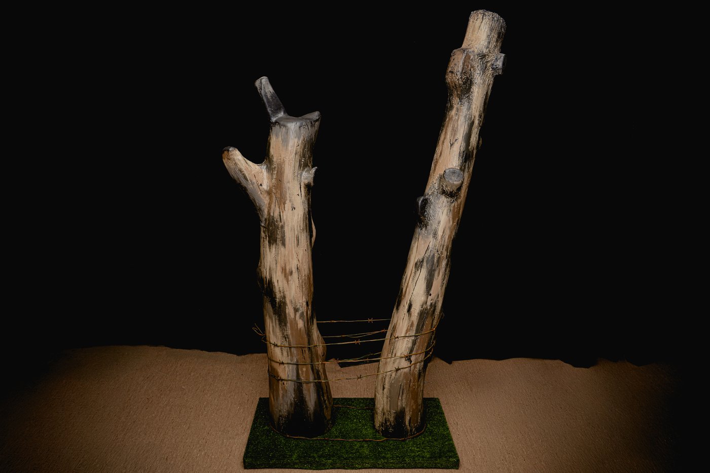 Danger tree installation in France marks 'futility of loss' for Newfoundland Regiment | iNFOnews.ca Danger tree installation in France marks 'futility of loss' for Newfoundland Regiment | iNFOnews.ca