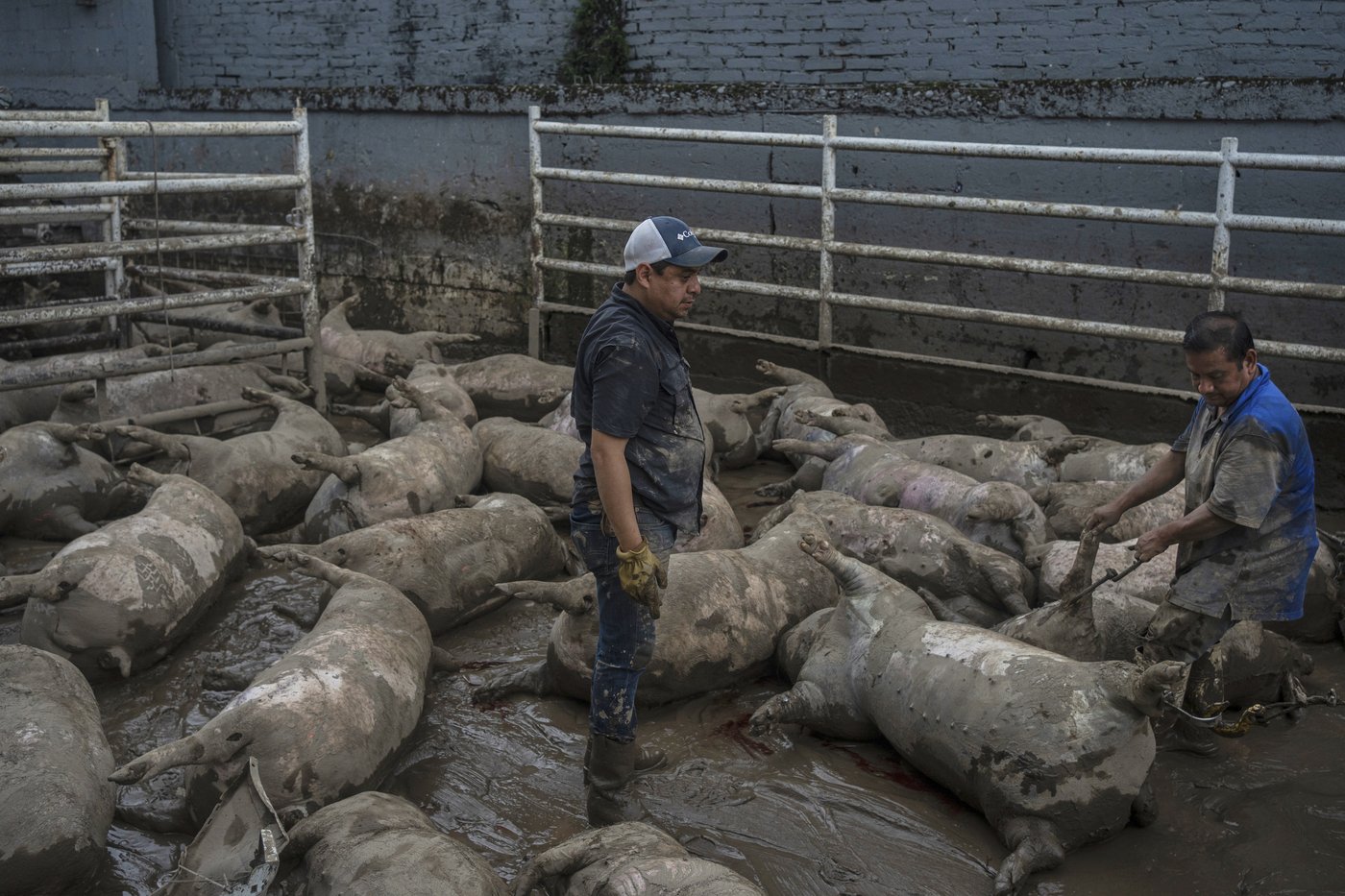 Photos of the flooding and landsides in Mexico | iNFOnews.ca