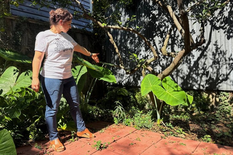 A long-lost ancient Roman artifact reappears in a New Orleans backyard | iNFOnews.ca