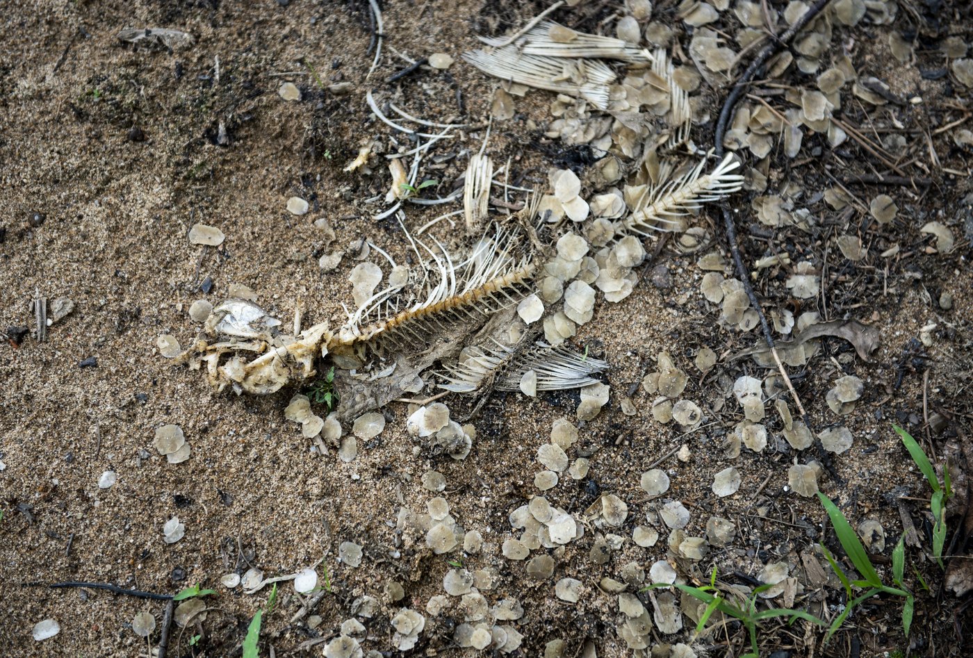 Quebec chemical firm hit with $1.4-million fine over substance discharged in river | iNFOnews.ca