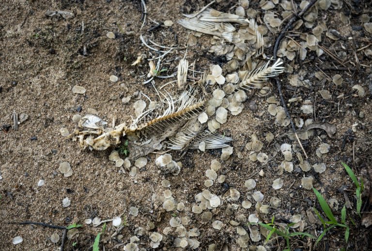 Quebec chemical firm hit with $1.4-million fine over substance discharged in river | iNFOnews.ca