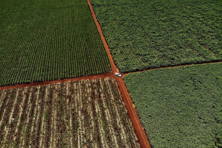 Court fight begins over South Africa’s land law that irks the Trump administration | iNFOnews.ca