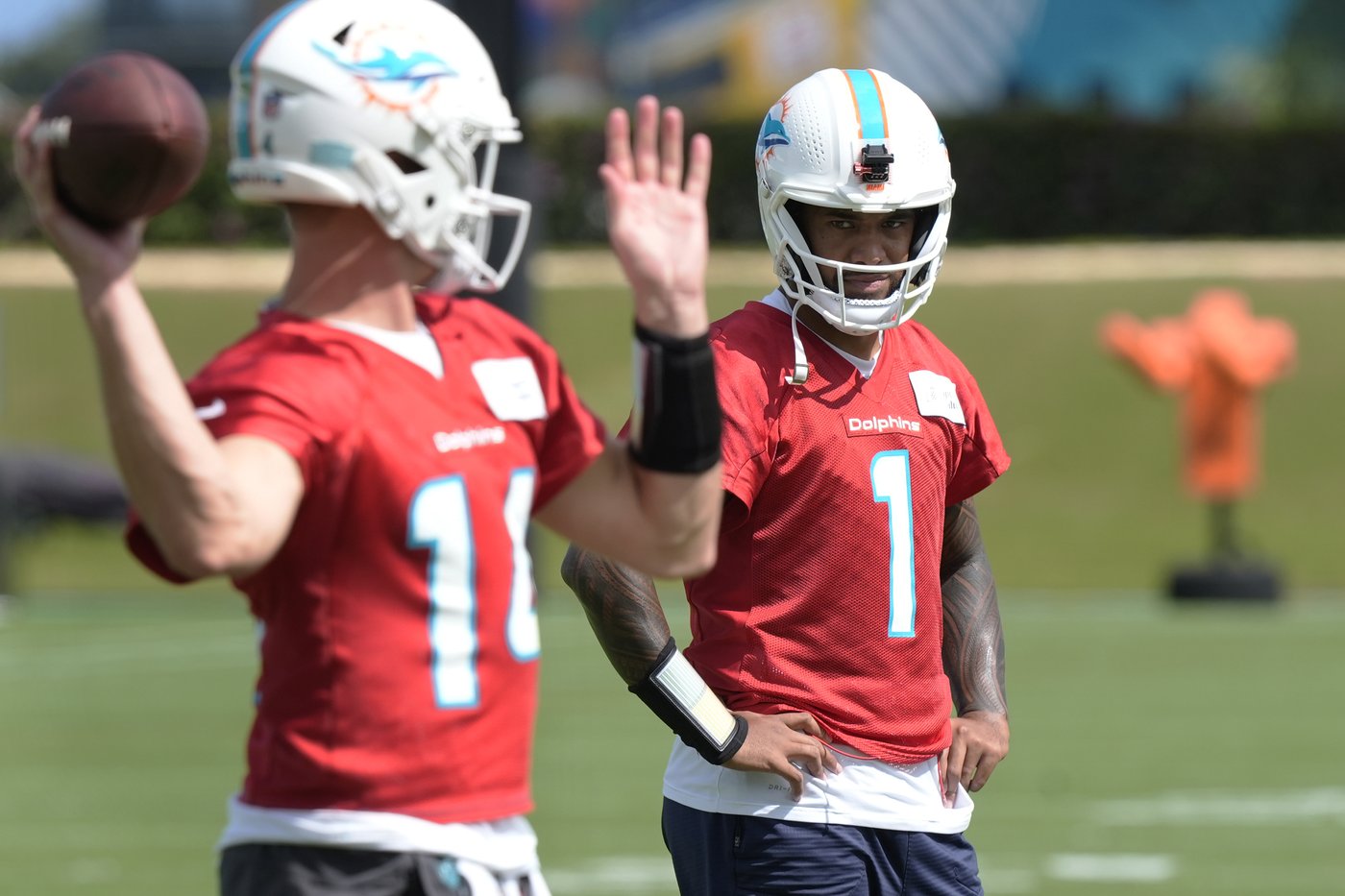 Dolphins QB Tua Tagovailoa clears concussion protocol and will start vs. Cardinals | iNFOnews.ca