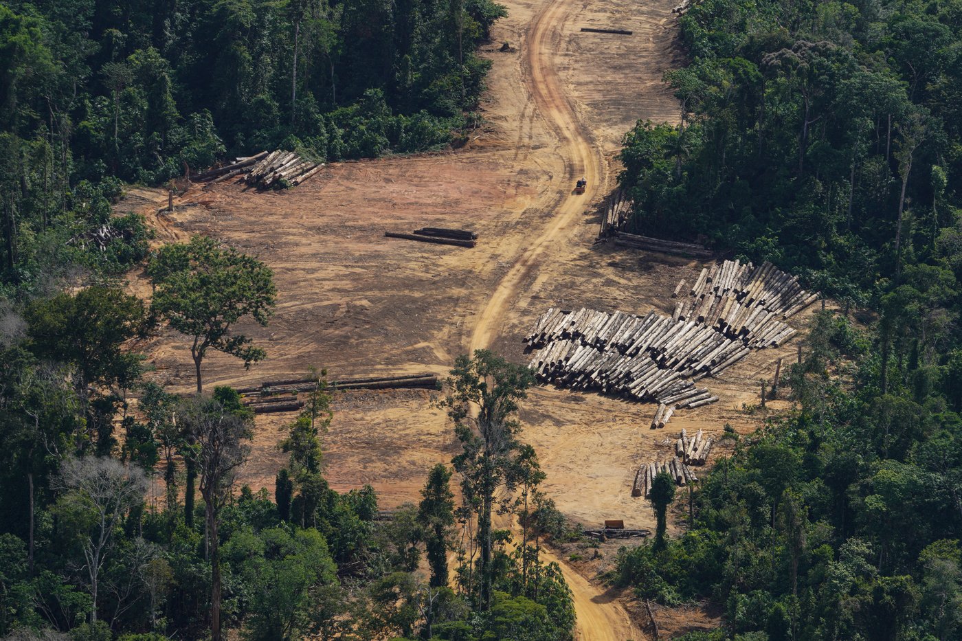 Takeaways from AP's report on how Suriname's Saamaka are fighting to protect their rainforest | iNFOnews.ca Takeaways from AP's report on how Suriname's Saamaka are fighting to protect their rainforest | iNFOnews.ca