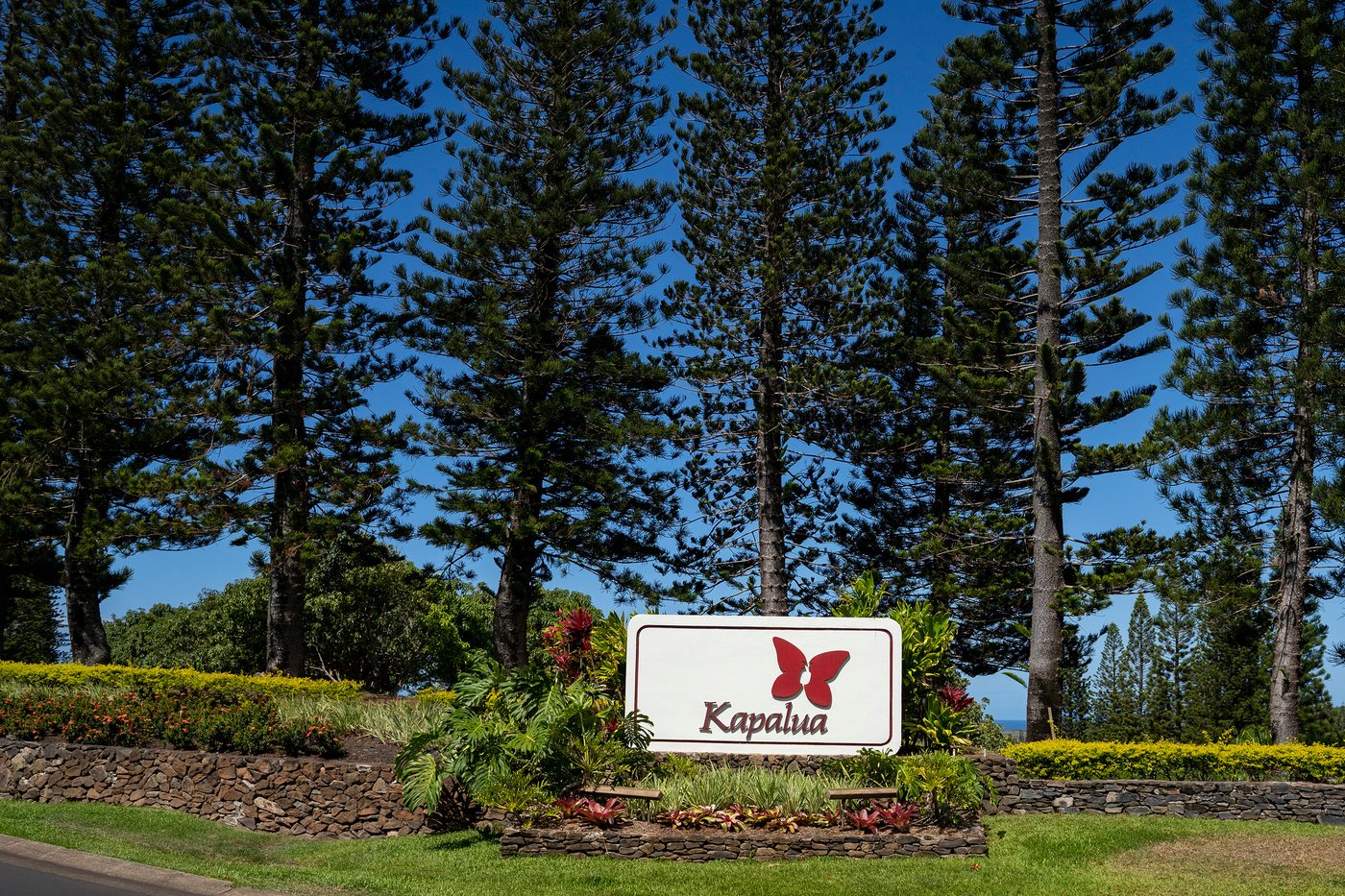 The Sentry at Kapalua gets canceled instead of going to another course. Sony Open to start season | iNFOnews.ca
