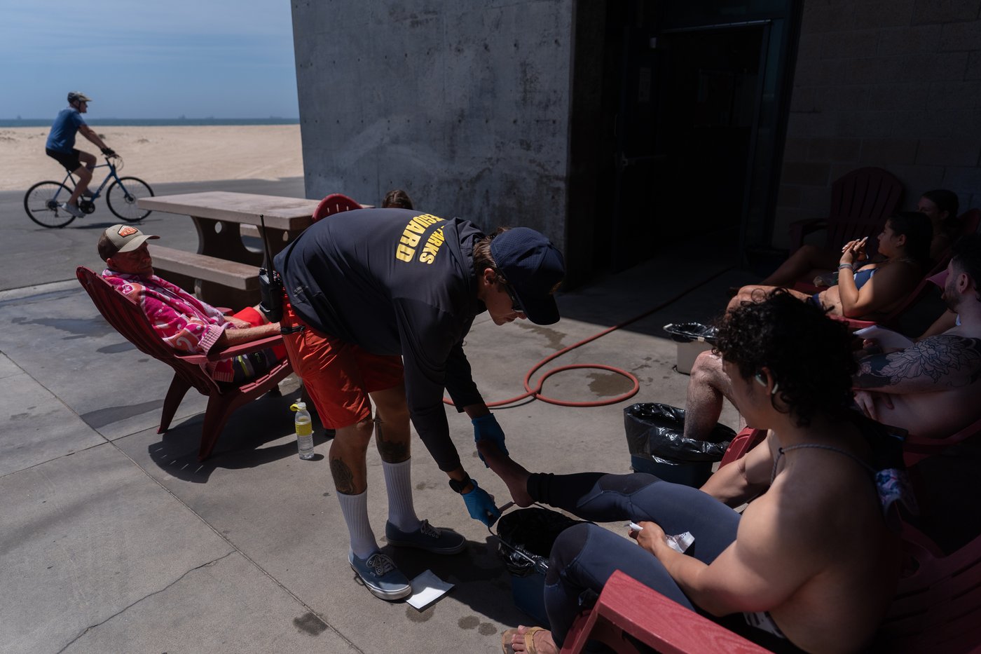 Stingray lashings up as marine heat wave off Southern California draws more to shore | iNFOnews.ca