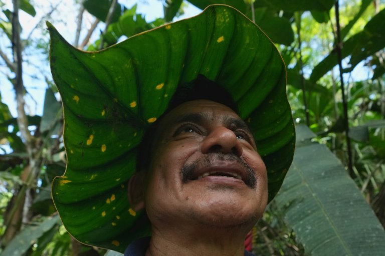 Seed guardians of the Amazon: A family's solitary fight to save endangered plants | iNFOnews.ca