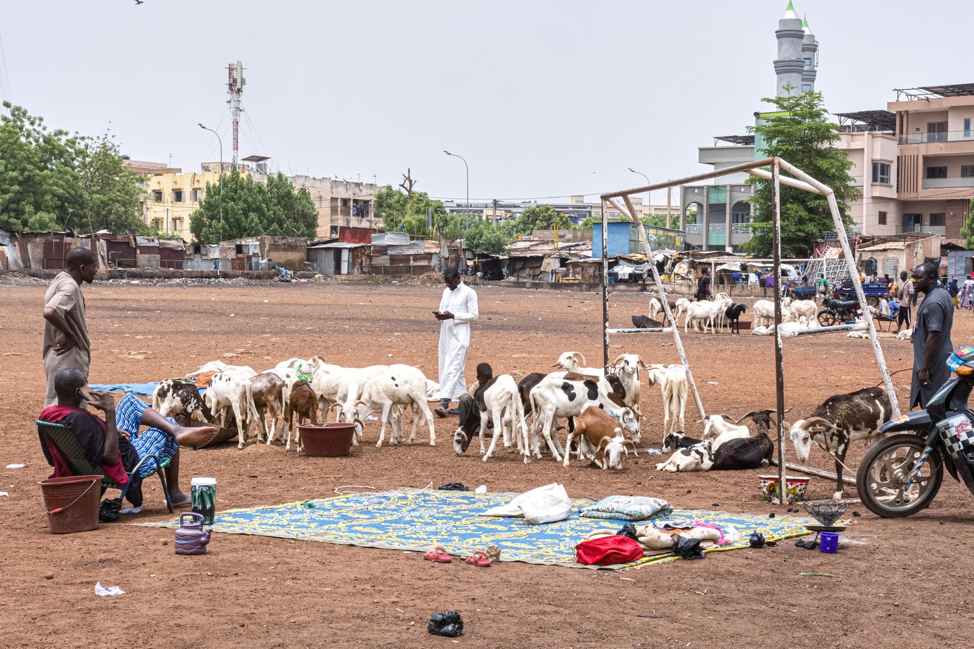 A bitter Eid al-Adha in Mali's capital as al-Qaida-linked blockade sends sheep prices soaring | iNFOnews.ca