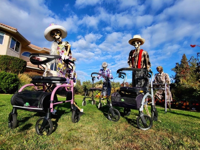 Four life-sized skeletons dressed as seniors are staged on a lawn pushing walkers on wheels.