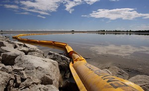 CP27484212