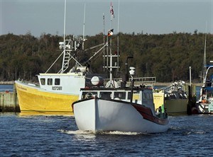 CP27526137