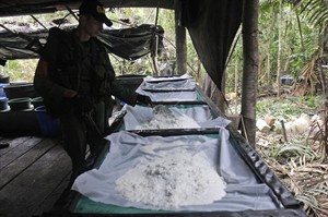 Illegal drugs cheaper, more potent despite decades of the war on drugs: study | iNFOnews.ca CP25261670
