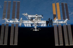 CP26976482
