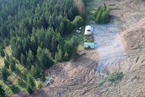 CP23484620