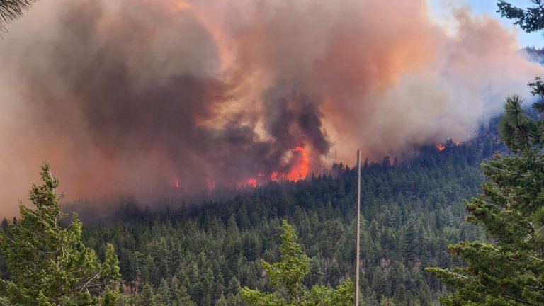 Migrant workers left with uncertain future amid B.C. wildfire evacuations | iNFOnews.ca