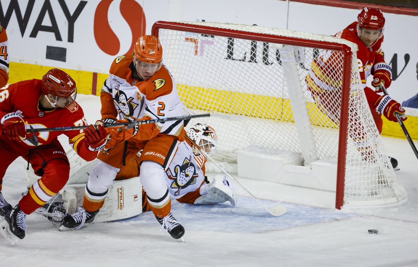Ryan Poehling scores short-handed winner for Ducks in 4-2 win over Flames | iNFOnews.ca